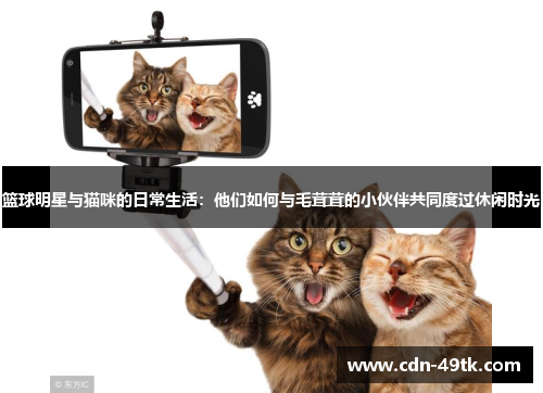 篮球明星与猫咪的日常生活：他们如何与毛茸茸的小伙伴共同度过休闲时光